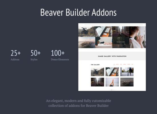 Addons for Beaver Builder Pro