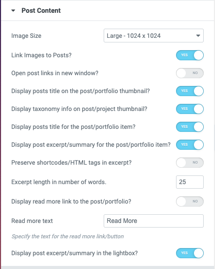 Posts Grid Posts Content Options